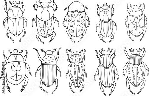 Beetles doodle icons set. Collection of sketches of different beetles. Hand drawn vector illustration. traced image.

