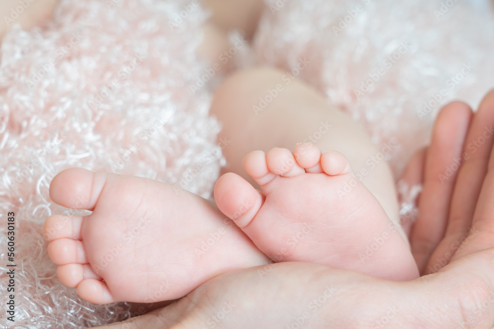 parents hold a newborn baby in their arms, close-up of the legs of a newborn baby,. parents hold a newborn baby in their arms, close-up of the legs of a newborn baby,.