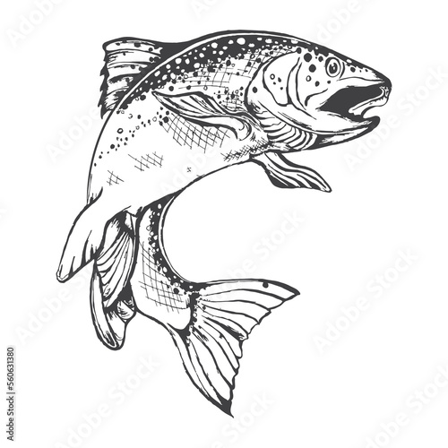 fish illustration with hand drawing