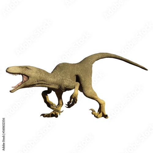 dinosaur velociraptor  3d render