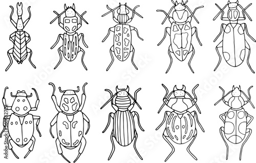 Beetles doodle icons set. Collection of sketches of different beetles. Hand drawn vector illustration. traced image.
