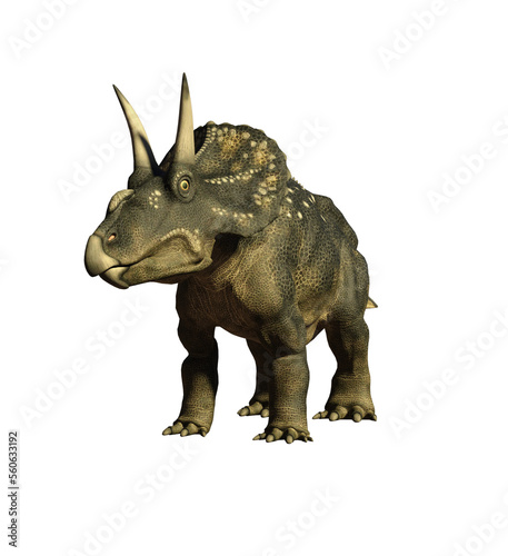 dinosaur diceratops 3d render © david
