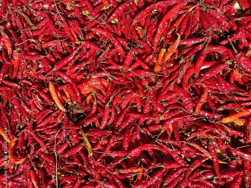 Fototapeta premium Red chillies 
