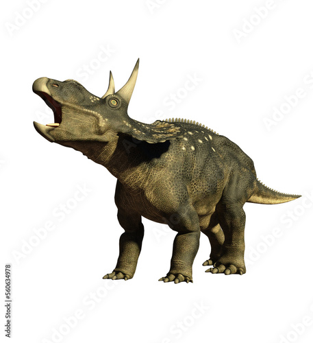 dinosaur diceratops 3d render © david
