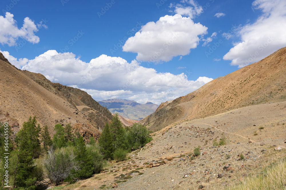 A picturesque place in the mountains against a blue sky with clouds. Nature of the Altai Mountains.
