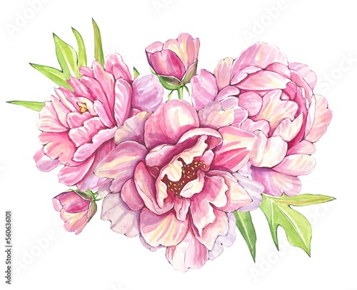 Hand drawn bouquet of pink peonies  watercolor illustration