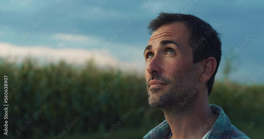 Happy Man Smiling and Looking Around in a Green Field of Corn. Handsome Middle-aged Male Farmer Enjoying the View, Thankful for the Good Weather, Hopeful for the Future of his Crops and Business Happy Man Smiling and Looking Around in a Green Field of Corn. Handsome Middle-aged Male Farmer Enjoying the View, Thankful for the Good Weather, Hopeful for the Future of his Crops and Business