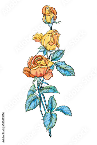 Three beautiful yellow roses isolated on the white background.