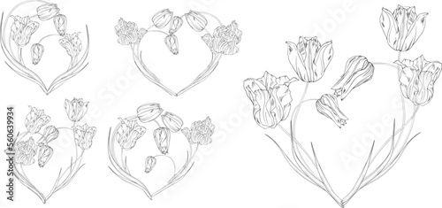 set of flower arrangements heart. The floral heart. Spring flowers. Tulips.