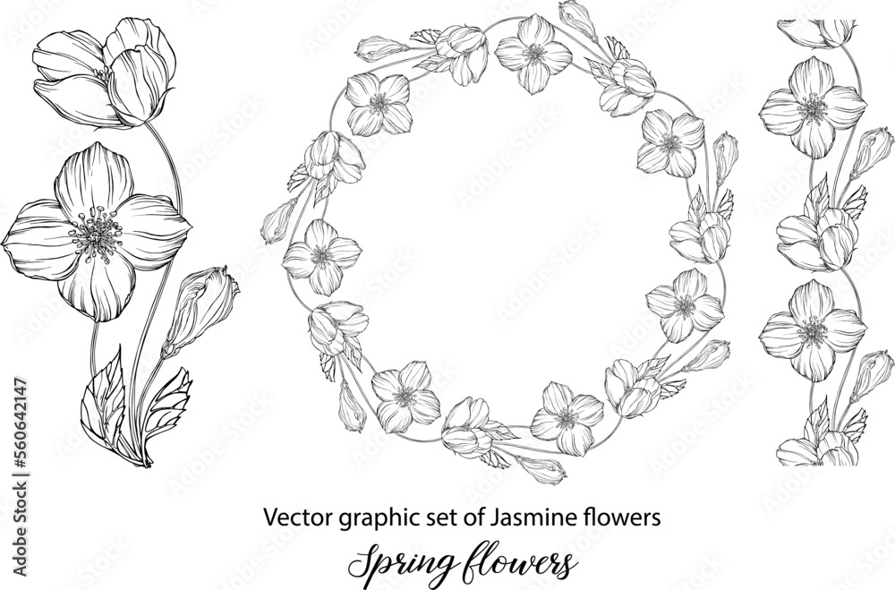 A set of graphic flower compositions with Jasmine flowers. Jasmine. wedding, scrapbooking A set of graphic flower compositions with Jasmine flowers. Jasmine. wedding, scrapbooking