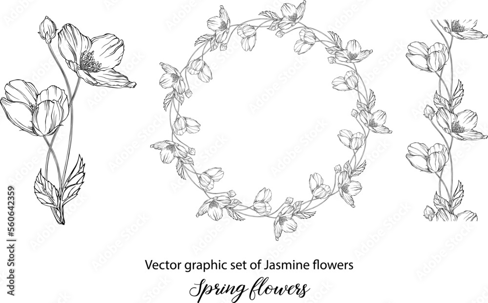 A set of graphic flower compositions with Jasmine flowers. Jasmine. wedding, scrapbooking