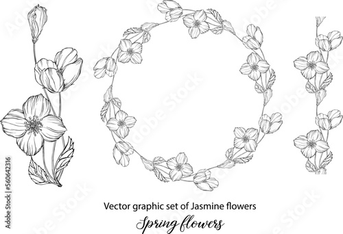 A set of graphic flower compositions with Jasmine flowers. Jasmine. wedding, scrapbooking