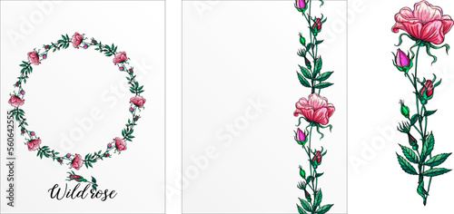 a set of postcards with rose flowers. Pink flowers. Rose.