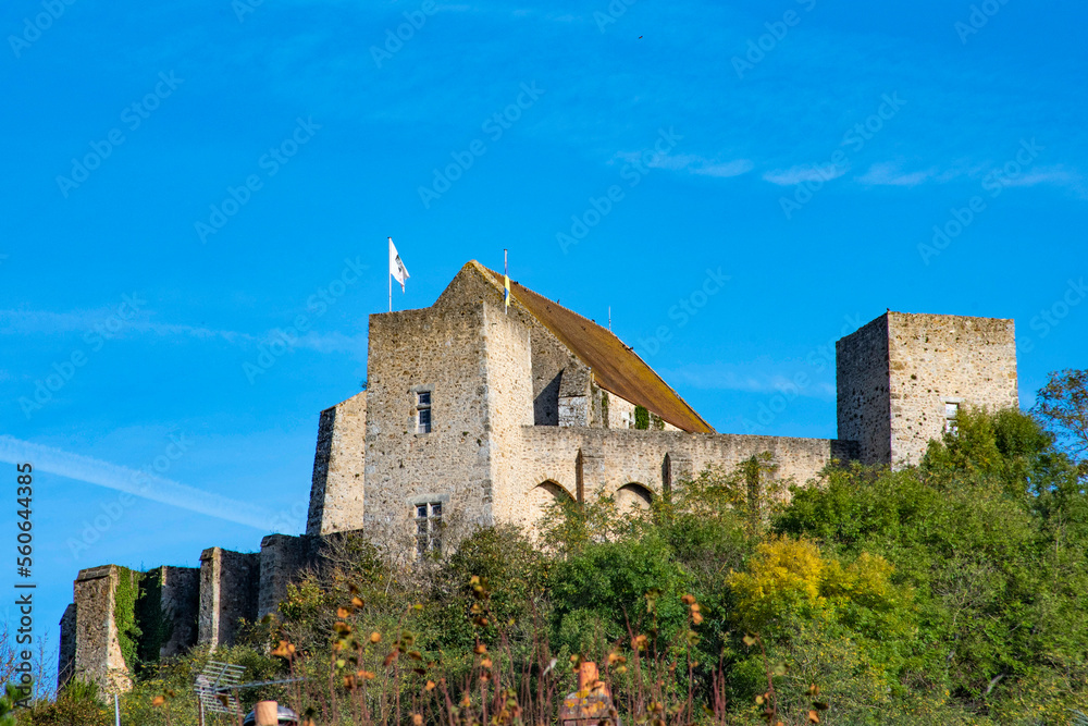 château de la Madeleine à Chevreuse, Yvelines