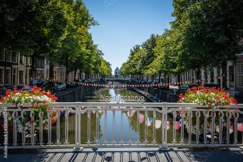 typical dutch, canal, flowers, tree, outdoor, city, tourism, architecture, building, built up, centre, clear, daytime, dutch, europe, european, gouda, government, green, historic, holland, house, neth