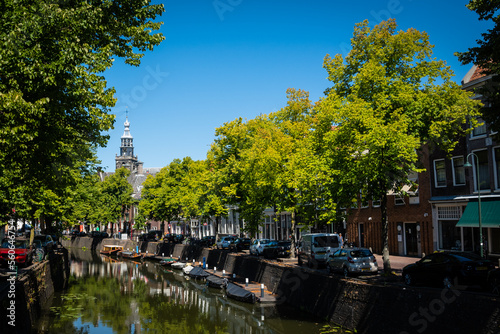 typical dutch, canal, flowers, tree, outdoor, city, tourism, architecture, building, built up, centre, clear, daytime, dutch, europe, european, gouda, government, green, historic, holland, house, neth