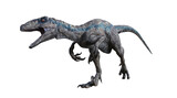 velociraptor tyrannosaurus rex dinosaur 3d render