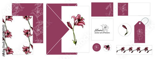 Set of postcards with Lily flowers