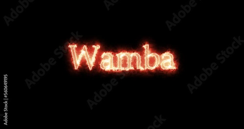 Wamba, king of the Visigoths, written with fire. Loop photo