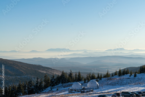 Winter landscape with snow covered firs.