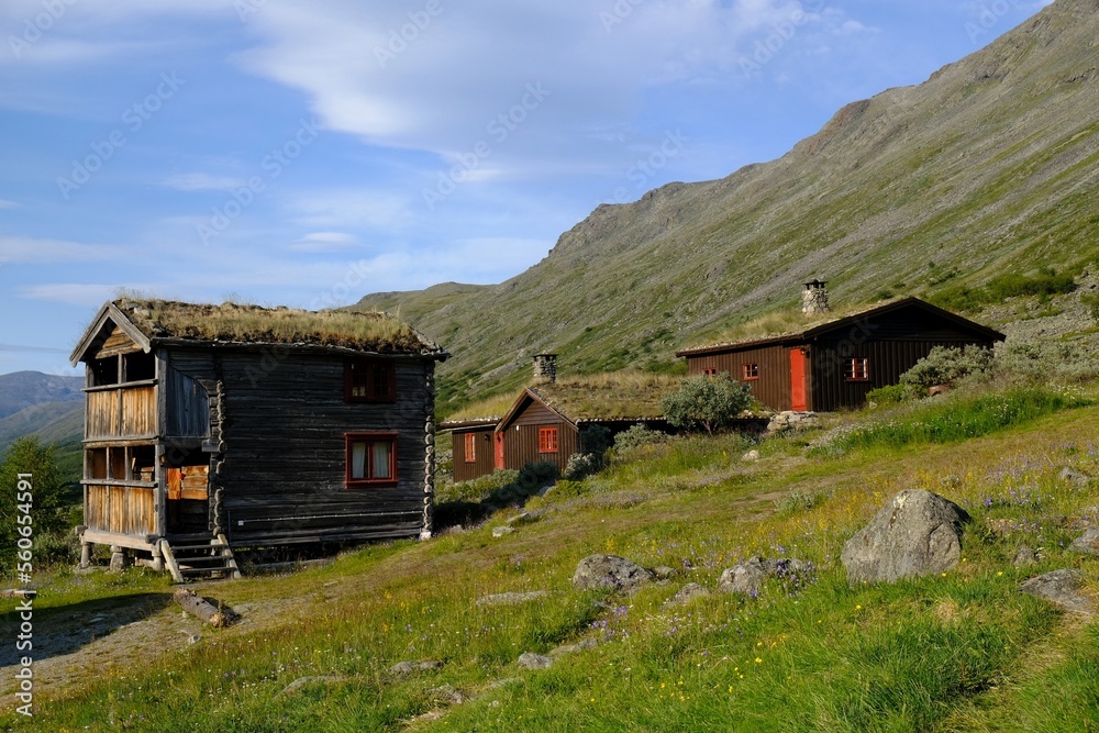 Traditional wooden turf houses in the Norwegian mountains.  Spiterstulen - Norwegian tourist hostel located in Jotunheimen Mountains, in Visdalen valley, on Visa River. 