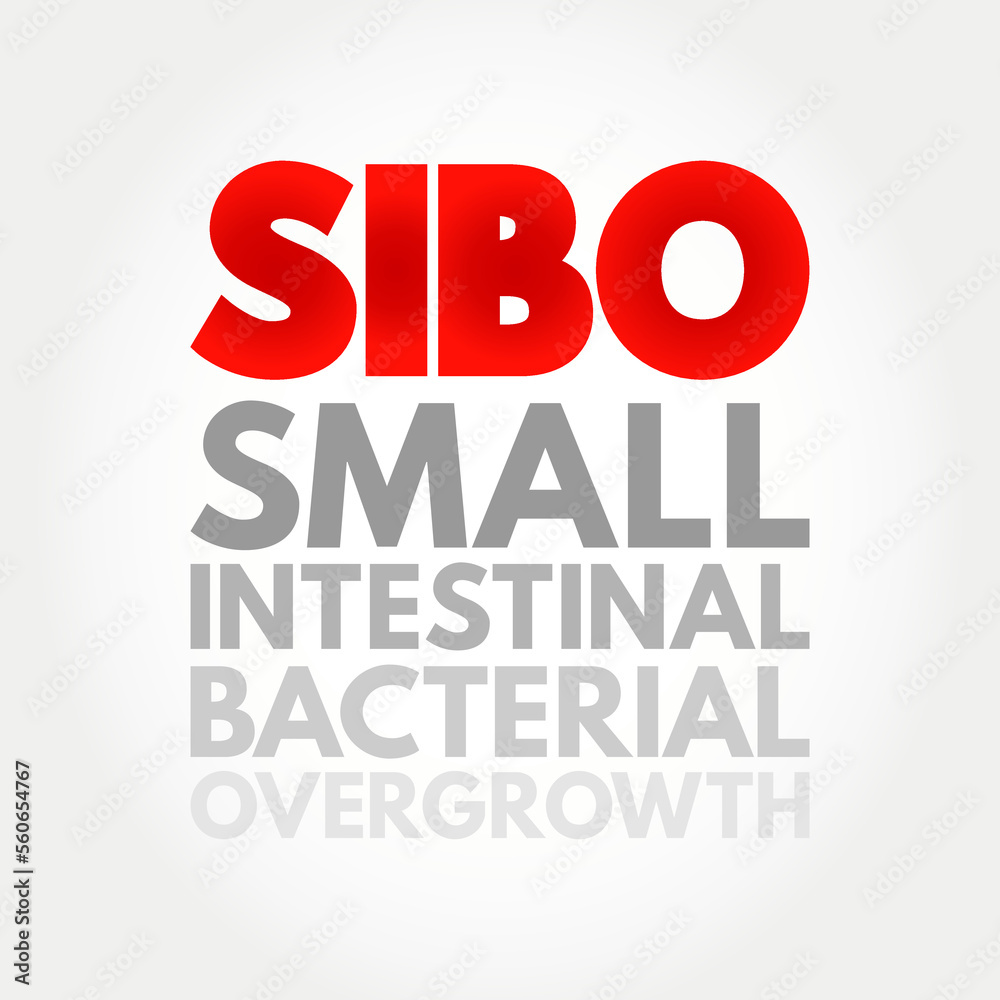 SIBO - Small Intestinal Bacterial Overgrowth is an imbalance of the microorganisms in your gut that maintain healthy digestion, acronym concept background SIBO - Small Intestinal Bacterial Overgrowth is an imbalance of the microorganisms in your gut that maintain healthy digestion, acronym concept background