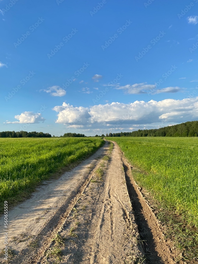 road field road field