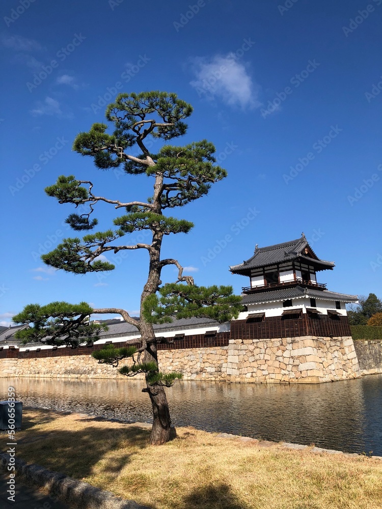 templo with tree