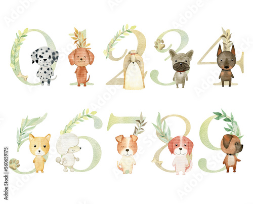 Watercolor dogs numbers for invitation card, nursery poster and other. Png.