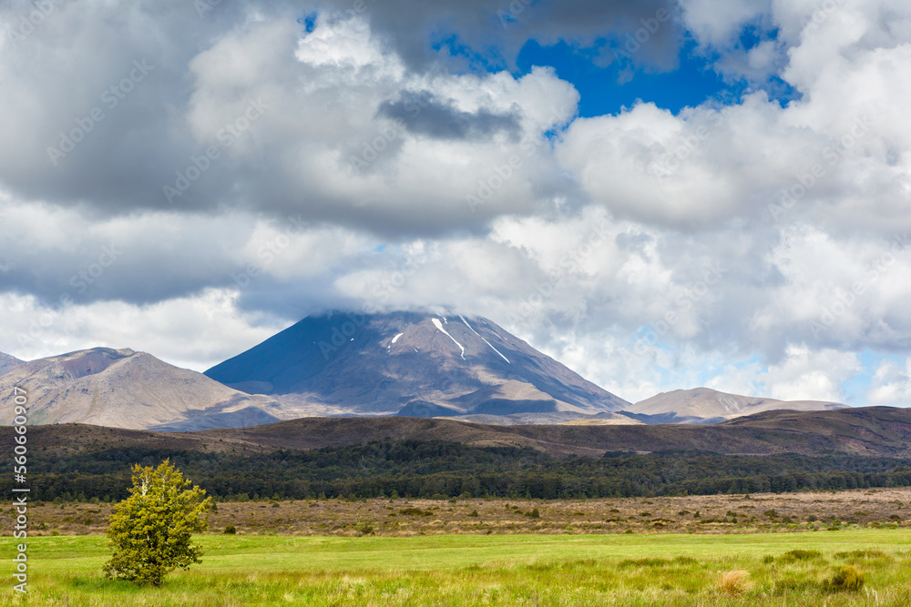 Trail in Tongariro National Park. Ruapehu District, North Island, New Zealand.