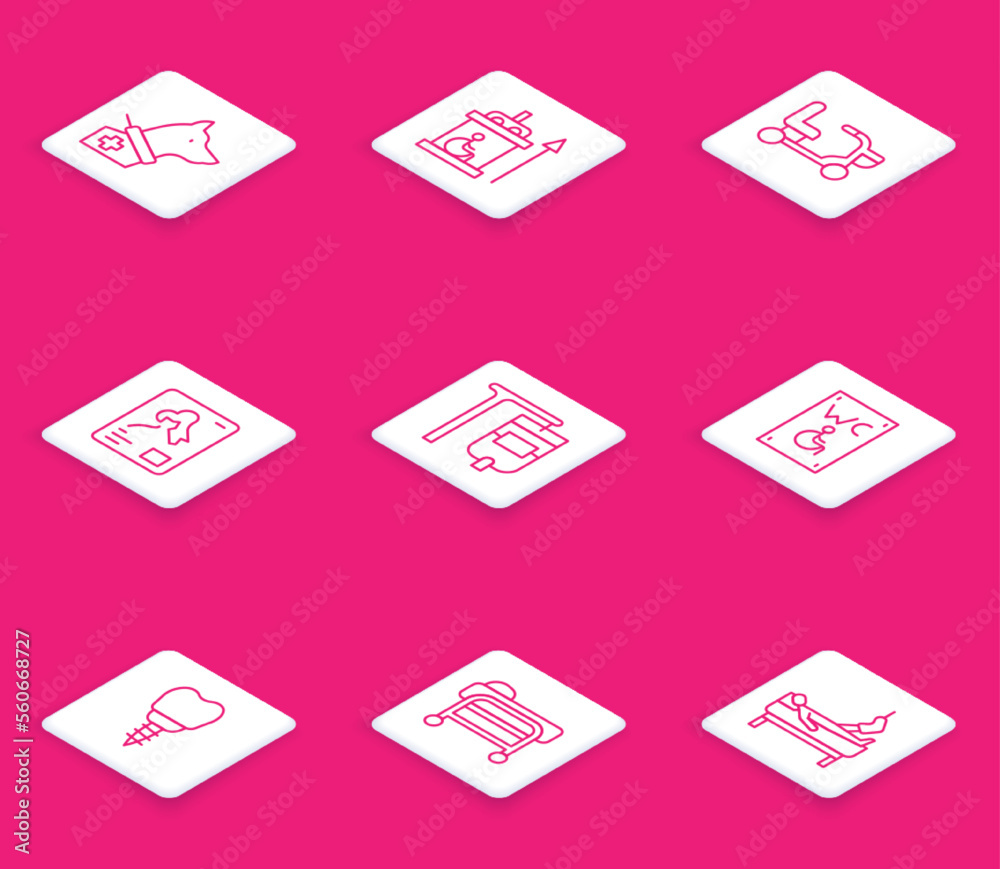 Set line Guide dog, Elevator for disabled, Electric wheelchair, Xray