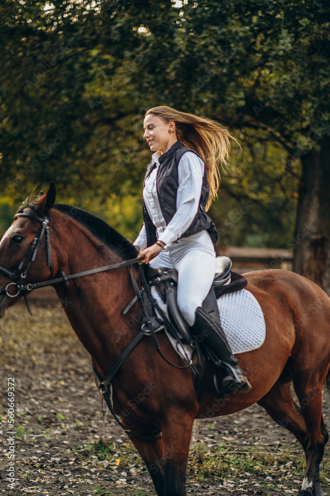 A young beautiful woman jockey is preparing for a show jumping competition. A woman rider rides a brown racehorse.