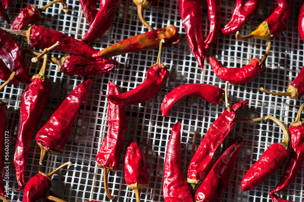 Lots of red chili peppers.