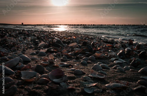 Shell beach by the sea on the Baltic Sea. Sunset, groynes in the background. Coast © Martin