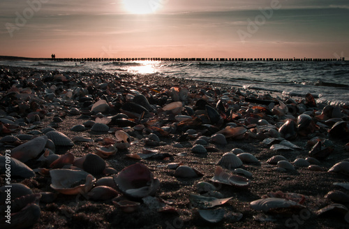 Shell beach by the sea on the Baltic Sea. Sunset, groynes in the background. Coast