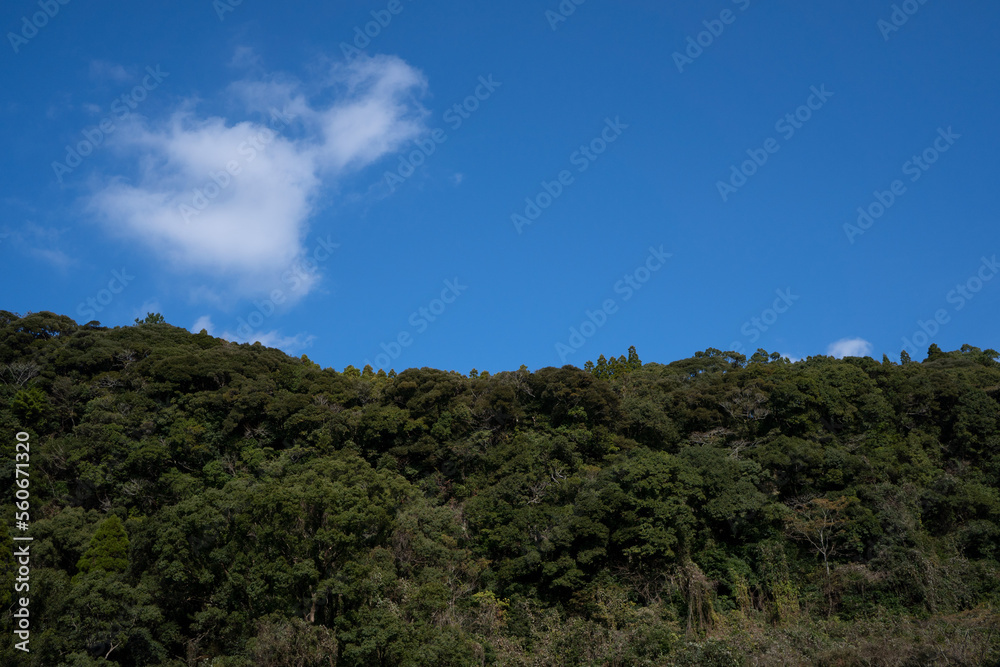 青空　自然