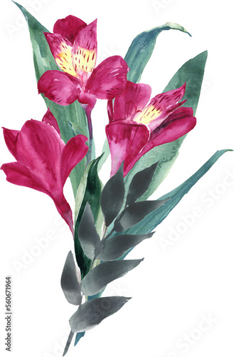 Watercolor floral arrangement. Hand painted botanical illustration with magenta flowers
