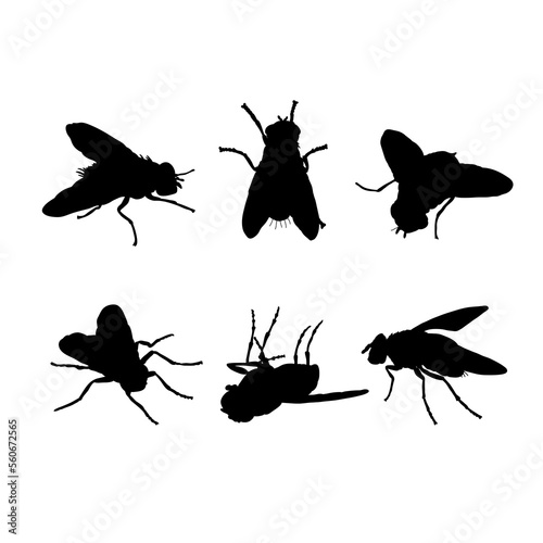 Set of silhouettes of insects fly vector design © ydhckll