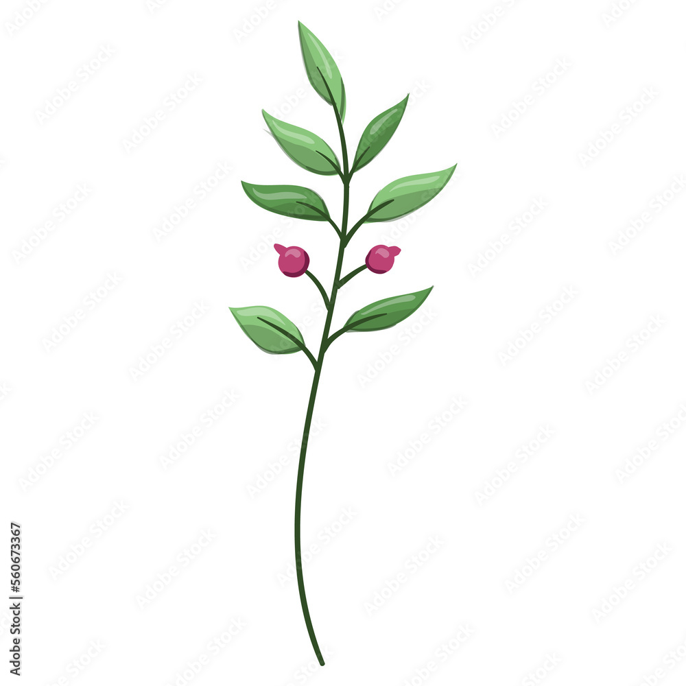 Wildflower Illustration. Floral Isolated Wildflower Illustration. Floral Isolated