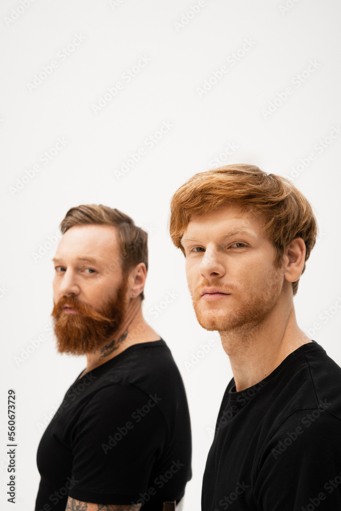 red haired man with bearded tattooed father looking at camera on grey background. red haired man with bearded tattooed father looking at camera on grey background.