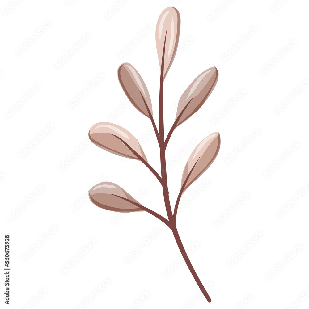 Wildflower Illustration. Floral Isolated