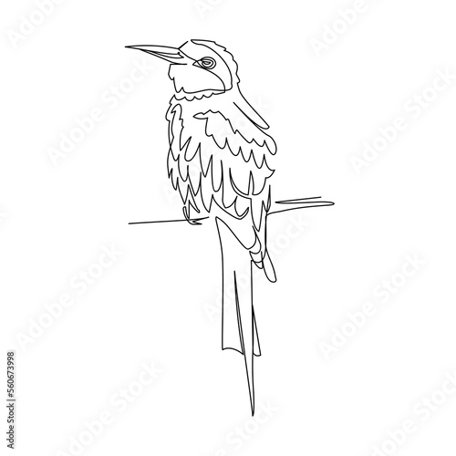 bird on a branch