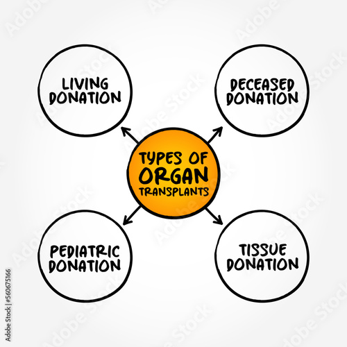 Types of Organ Transplants (medical procedure in which an organ is removed from one body and placed in the body of a recipient), mind map text concept background