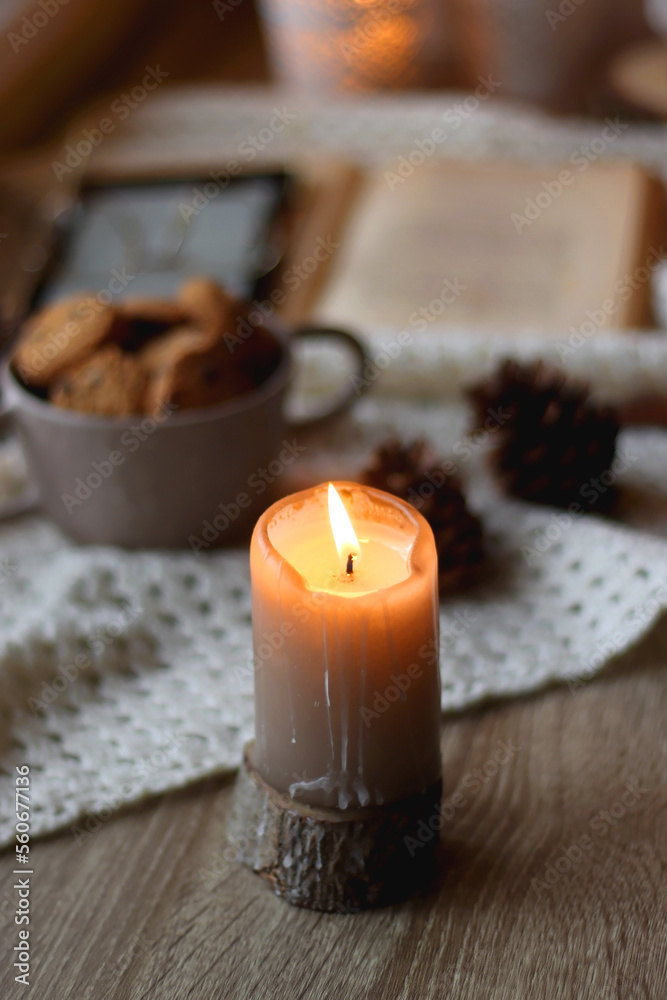 Cup of tea, books, tablet, bowl of cookies, various spices, pine cones and lit candles. Hygge at home. Selective focus. Cup of tea, books, tablet, bowl of cookies, various spices, pine cones and lit candles. Hygge at home. Selective focus.