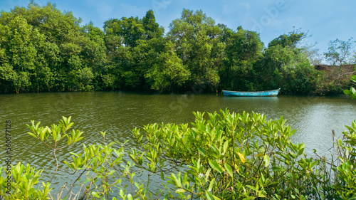 Bilde på lerret Blue Canoe in the Mangroves of Goa