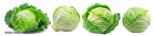 Set of four savoy cabbages  isolated on white background.