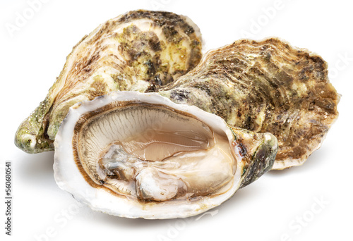 Opened and closed raw oysters isolated on white background. Delicacy food.