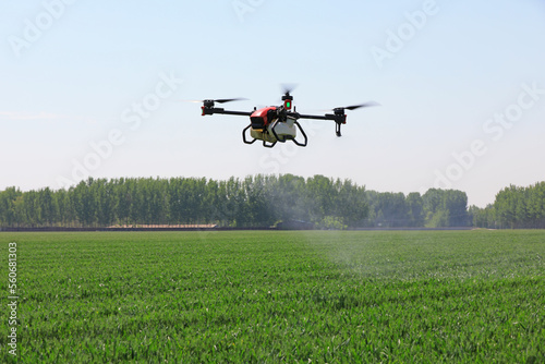 farmers use plant protection UAVs to spray pesticides on wheat  North China