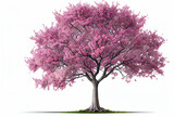 Large pink Cherry Blossom tree on white background. Digital art style. Generative AI