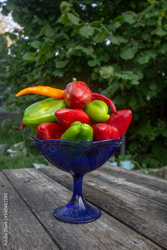colorful paprika and chili in a vintage blue vase.